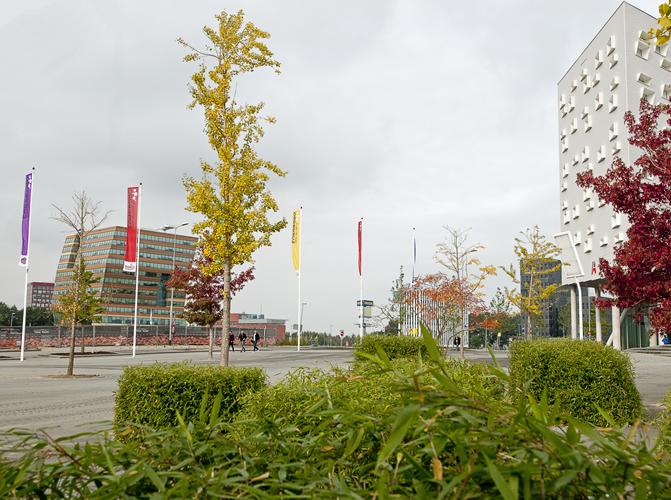 Bedrijfsfotografie